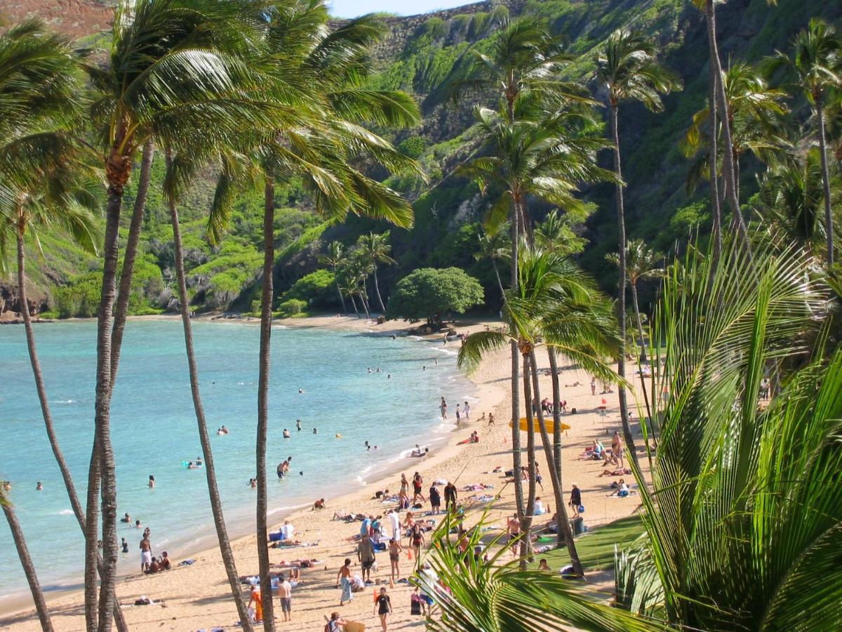 Free Parking, Pool, Sauna, Spa, Wifi, Bbq, Ac - Waikiki Banyan Honolulu Exterior foto