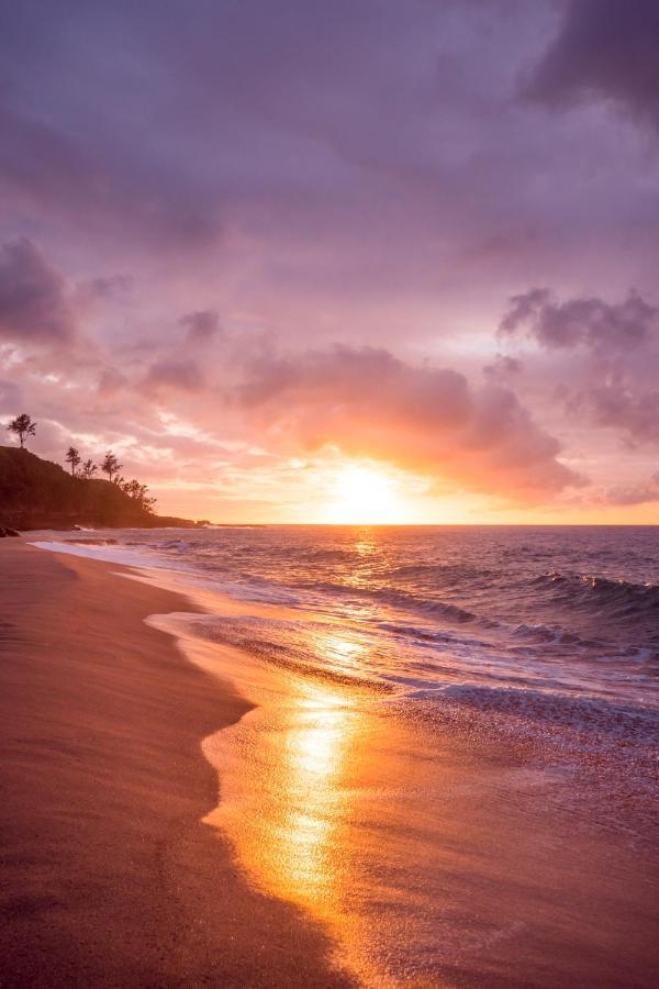 Free Parking, Pool, Sauna, Spa, Wifi, Bbq, Ac - Waikiki Banyan Honolulu Exterior foto