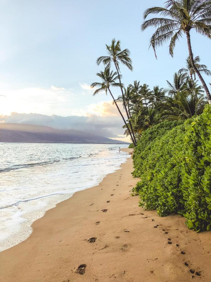 Free Parking, Pool, Sauna, Spa, Wifi, Bbq, Ac - Waikiki Banyan Honolulu Exterior foto