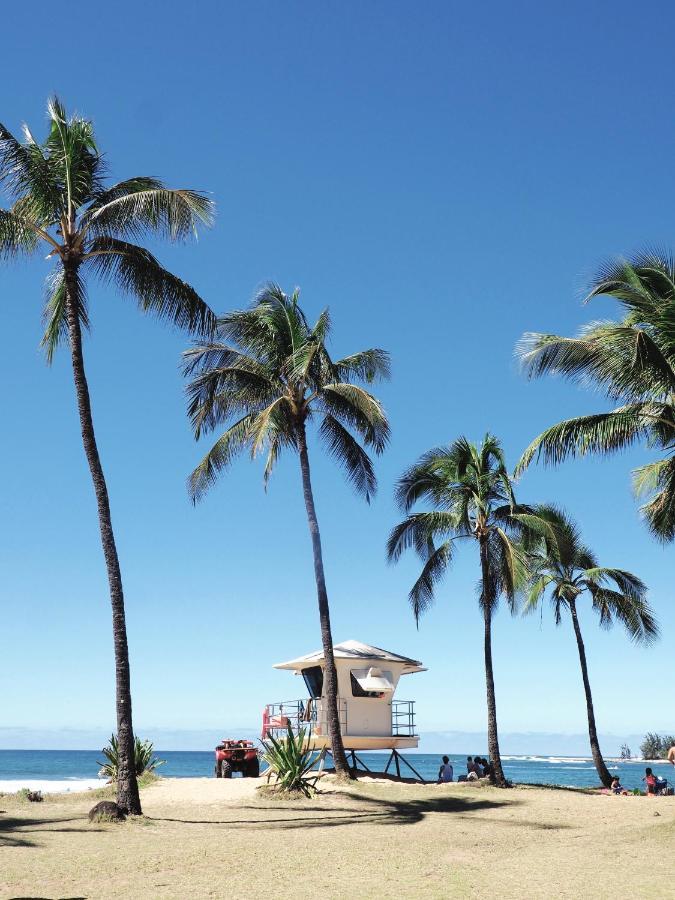 Free Parking, Pool, Sauna, Spa, Wifi, Bbq, Ac - Waikiki Banyan Honolulu Exterior foto